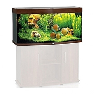 Aquarium JUWEL Vision (Brun) - 260l