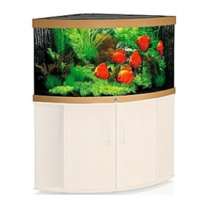 Aquarium JUWEL Trigon (Chêne clair) - 350l