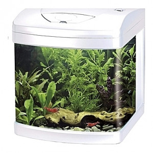 Aquarium Amtra/Wave XCUBE (Blanc) - 26L