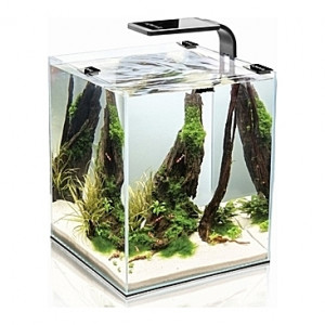 Aquarium AQUAEL SHRIMPSET (Noir) - 19L