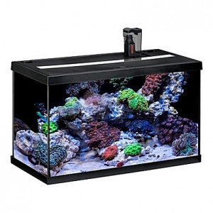 Aquarium Tube néon T8 Sylvania AquaStar MARIN (Noir) - 63L