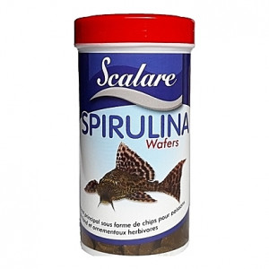 Comprimés de spirulines pour poissons de fond SPIRULINA WAFERS SCALARE 250ml