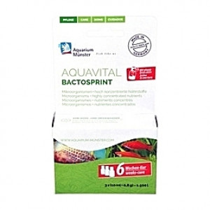 Bactéries lyophilisées Aquavital BactoStrpint - 30ml