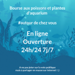 bourse en ligne, boutique aquariophilie