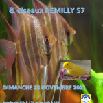 REMILLY BOURSES AUX POISSONS OISEAUX DIM 28 NOVEMBRE 2021