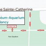 Calendrier et agenda aquariophile 2024 autour de chez vous : bourses ...