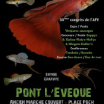 Bourse Pont l'évêque