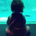 Aquariophile Stephane02300
