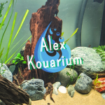 Aquariophile Alex46