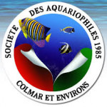 Bourse au poissons,plantes, coraux et invertébrés