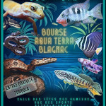 Bourse Aqua Terra Blagnac 31 Haute-Graonne