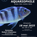 Bourse aquariophile de l'Aquario Club de Montereau