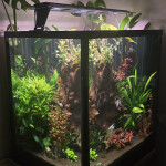 Aquariophile MAX.1208