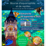 3e bourse de Calais