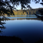 Aquariophile King-Niglo