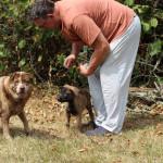 Aquariophile Andre19