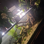 Aquariophile Canage10