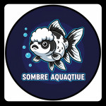 Aquariophile Sombre_aquatique