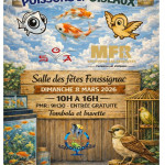 Bourse aux poissons