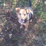 Aquariophile Fred22lassy