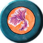 Aquariophile SayroTDF