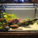 Aquariophile ii2MiCaB