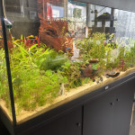 Aquariophile Jo57100000