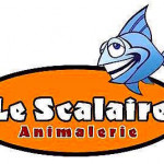 Aquariophile le_scalaire_animalerie
