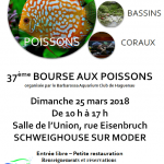 37ème bourse aux poissons