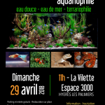 13ème bourse aquariophile