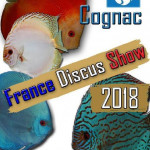 Cognac France Discus Show