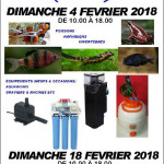 Bourse De L'aquarium De Bruxelles