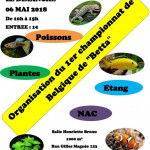 Bourse aquariophile du Cardinal à Ans (BE)