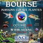 Bourse Aquariophile