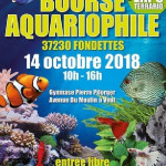 Bourse Aquariophile Du Club Aqua Fondettes