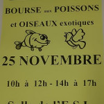 Bourse aux poissons et oiseaux