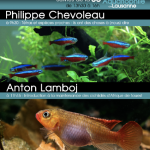 Conférence Bourse Acl