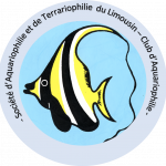 Aquariophile Etienne87