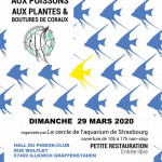 BOURSE AUX POISSONS AUX PLANTES & BOUTURE DE CORAUX