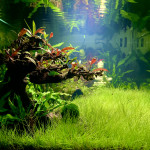 Aquariophile John42riorges