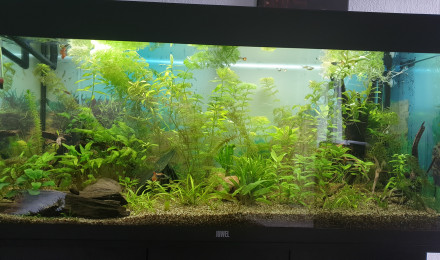 aquarium 180l