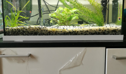 aquarium 55l