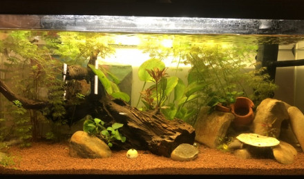 aquarium AquaLuna