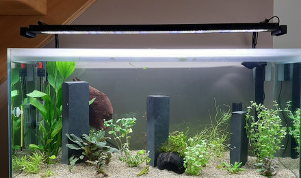 aquarium aqua thi