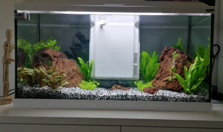 aquarium Bac