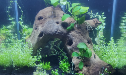 aquarium Amtra 20L