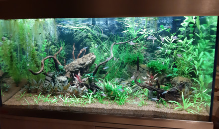 aquarium Proxima 250litres