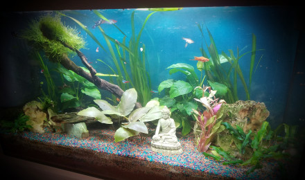 aquarium Le Ximoland