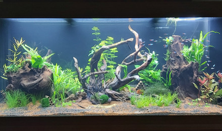 aquarium Rio 450