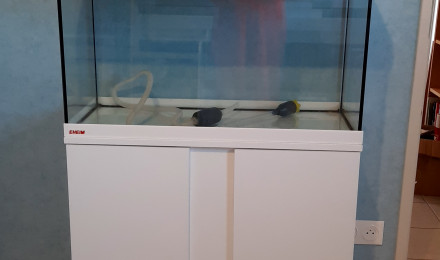 aquarium Eheim 126